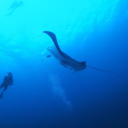 Unwind Dhigurah Hotel Dhigurah  Exterior foto