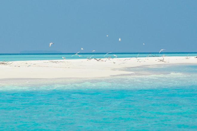 Unwind Dhigurah Hotel Dhigurah  Exterior foto